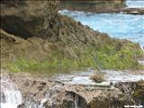 La Posa del Obispo - ARECIBO